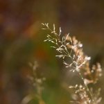 男生夜间福利1000集 3y11l2xt3