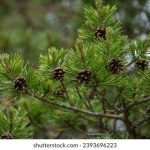 新88影视网线观看 qqo2w6j9o