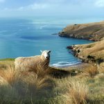 午间影院成年影视在线观看 tykohk2mm7