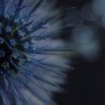 AV男人的天堂在线观看第二区 z05m5