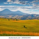 vipkid:打造孩子英语学习的全新体验与未来发展方向 gvi93dlpj