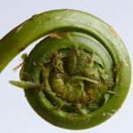 免费在线看剧:畅享海量影视资源,随时随地尽情观看 ynl01